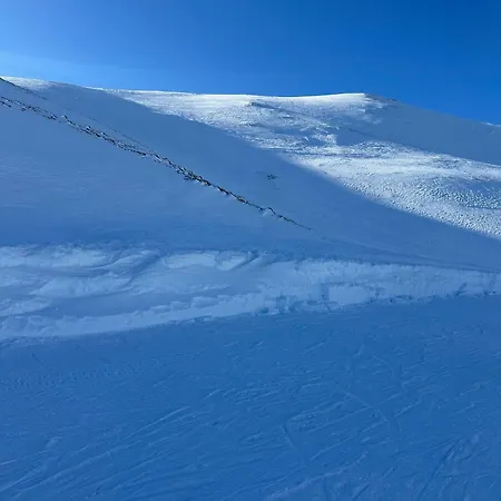 16 Colette 라루브불