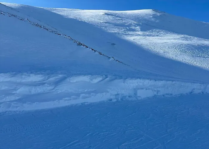 16 Colette 라루브불